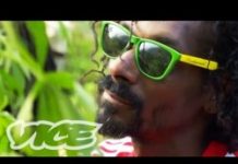 Snoop Dogg devient Snoop Lion est présente Reincarnated