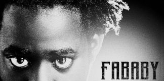 Fababy : La Force du Nombre, la cover de l’album