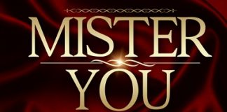 Le Prince : le nouvel album de Mister You !