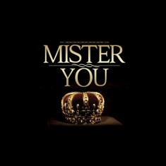 Mister You – J'voulais Lyrics, Paroles