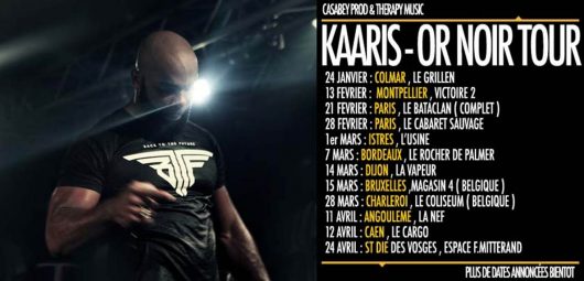 Kaaris dans ta ville pour l'or noir tour 2014