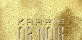 Kaaris – Or Noir Part 2 (Tracklist / Cover)