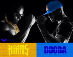 Booba / Kaaris : l'interview vérité, La Chute du Pigeon Noir