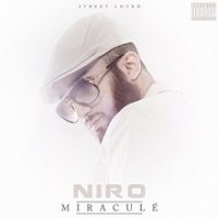 Niro - Perdu (Lyrics / Paroles)