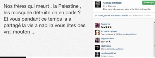 Nessbeal et Kamelanc critique le buzz autour de Nabilla et affiche leur soutien à la Palestine