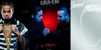 MHD, Kalash, Djadja & Dinaz, Maitre Gims, Jul, Nekfeu, SCH dans le dernier Top Album