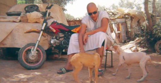 LIM – DZ (Clip)