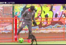 MHD dans Téléfoot sur TF1 (Vidéo)