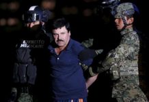 El Chapo : Le film est prévu pour 2019 !