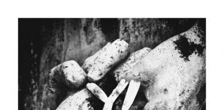 YL – Anges Et Demons