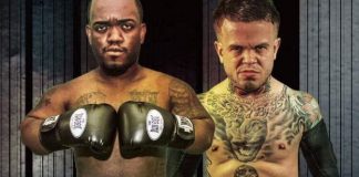 Un combat entre mini-Mayweather et mini-McGregor va avoir lieu !