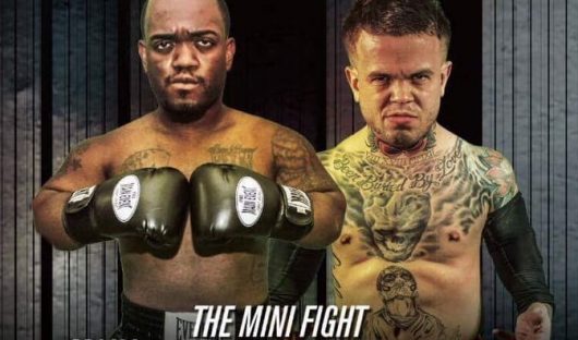 Un combat entre mini-Mayweather et mini-McGregor va avoir lieu !