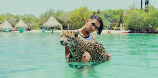 MMZ – Elle m’a vu (Clip)