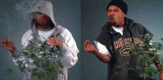 How High 2 : On a enfin les premières images du film et sa date de sortie !