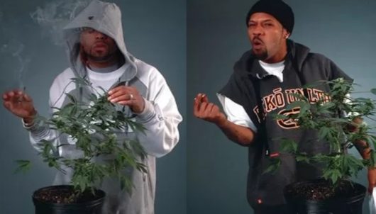 How High 2 : On a enfin les premières images du film et sa date de sortie !
