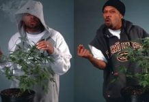 How High 2 : la bande annonce fait un bide, les fans veulent le retour de Method Man et Redman !
