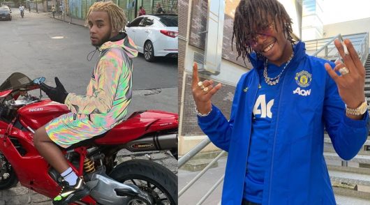Quand Zola voulait la peau de Koba LaD