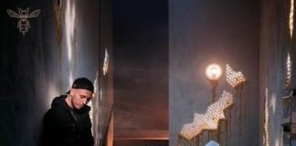 Hornet La Frappe – Ma Ruche