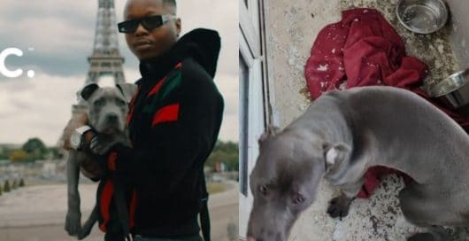 Leto va vite sortir de là Captain, son chien maltraité et enfermé sur un balcon