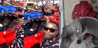 Leto prend du bon temps à Dubai en pleine polémique sur l’abandon de son chien