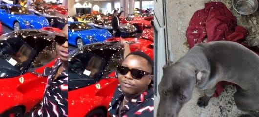 Leto prend du bon temps à Dubai en pleine polémique sur l’abandon de son chien