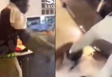 Kurt Zouma en plein bad buzz après sa vidéo maltraitant son chat