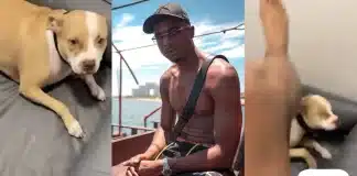 Timal choque avec sa vidéo compromettante en train de taper son chien