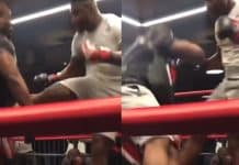 Ce puissant coup de pied de Francis Ngannou fait rebondir Lopez au sol