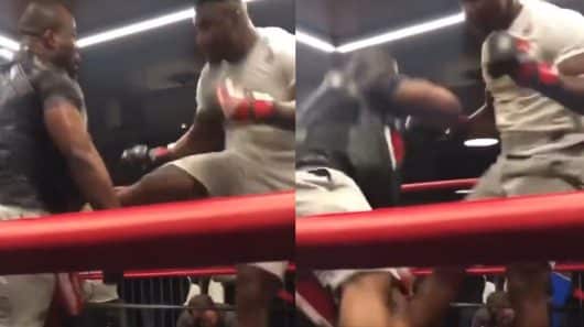 Ce puissant coup de pied de Francis Ngannou fait rebondir Lopez au sol