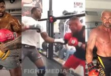 L’impressionnant face à face entre Francis Ngannou et Jérôme Le Banner
