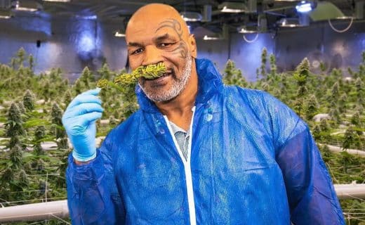 Voici le magasin de weed de Mike Tyson inauguré à Amsterdam