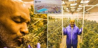 Mike Tyson : la somme astronomique qu’il empoche avec le cannabis