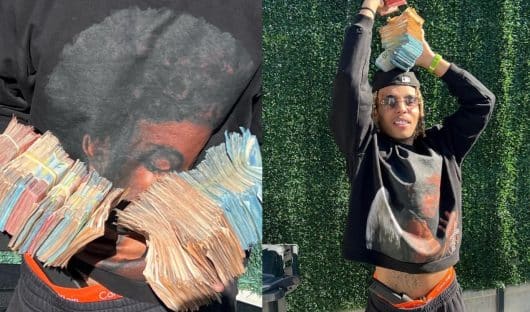 Zola exhibe des liasses de billets et enflamme la toile