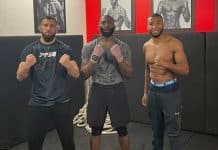 MMA : Salahdine Parnasse fait halluciner Cédric Doumbé