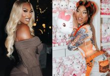 Aya Nakamura accusée d’être trop vulgaire, elle est confondue avec Megan Thee Stallion
