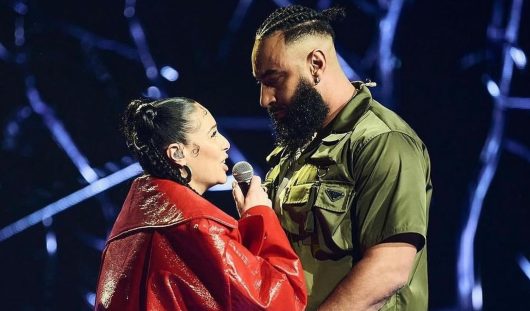 la fouine flammes