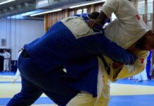 Teddy Riner combattant de MMA à l’UFC, l’incroyable offre
