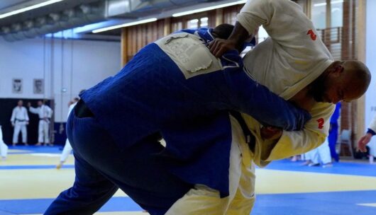 Teddy Riner combattant de MMA à l'UFC, l'incroyable offre