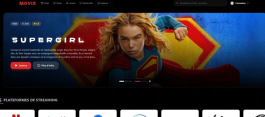 Movix, l'adresse de l'alternative gratuite de Netflix ?